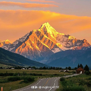 萌新宝宝，，，？