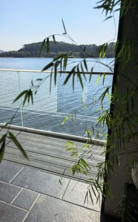 小仙女❤️等投喂的图片