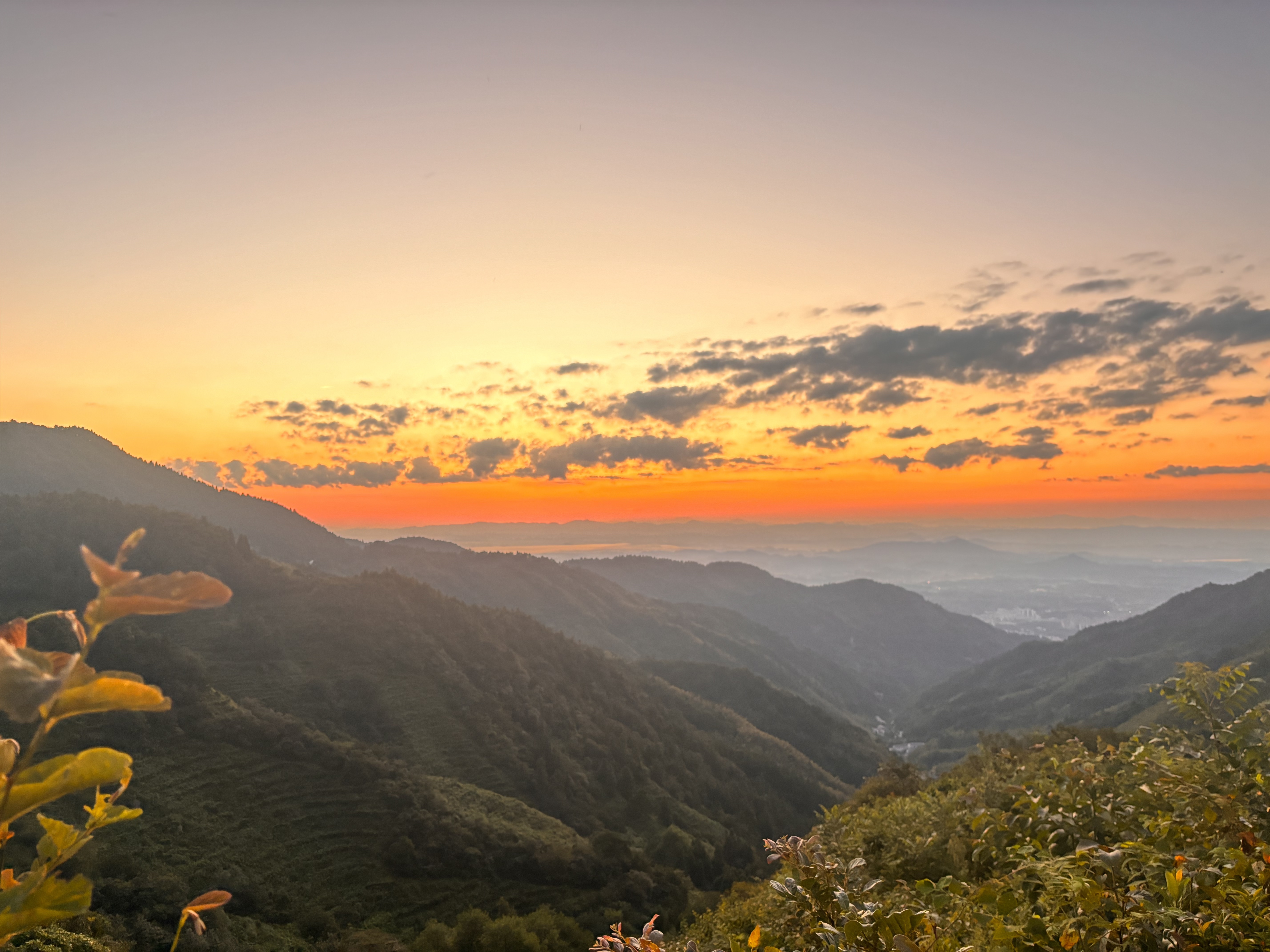 宝儿祝家人们新年快乐的主播照片