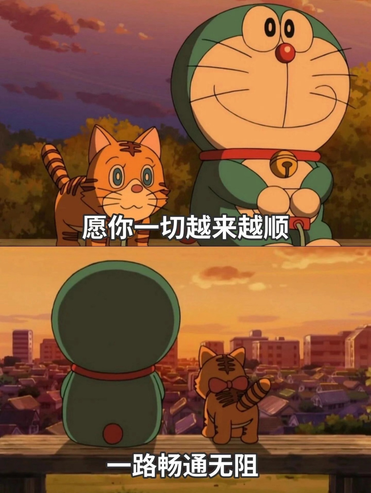 顾念念❤️主播图片