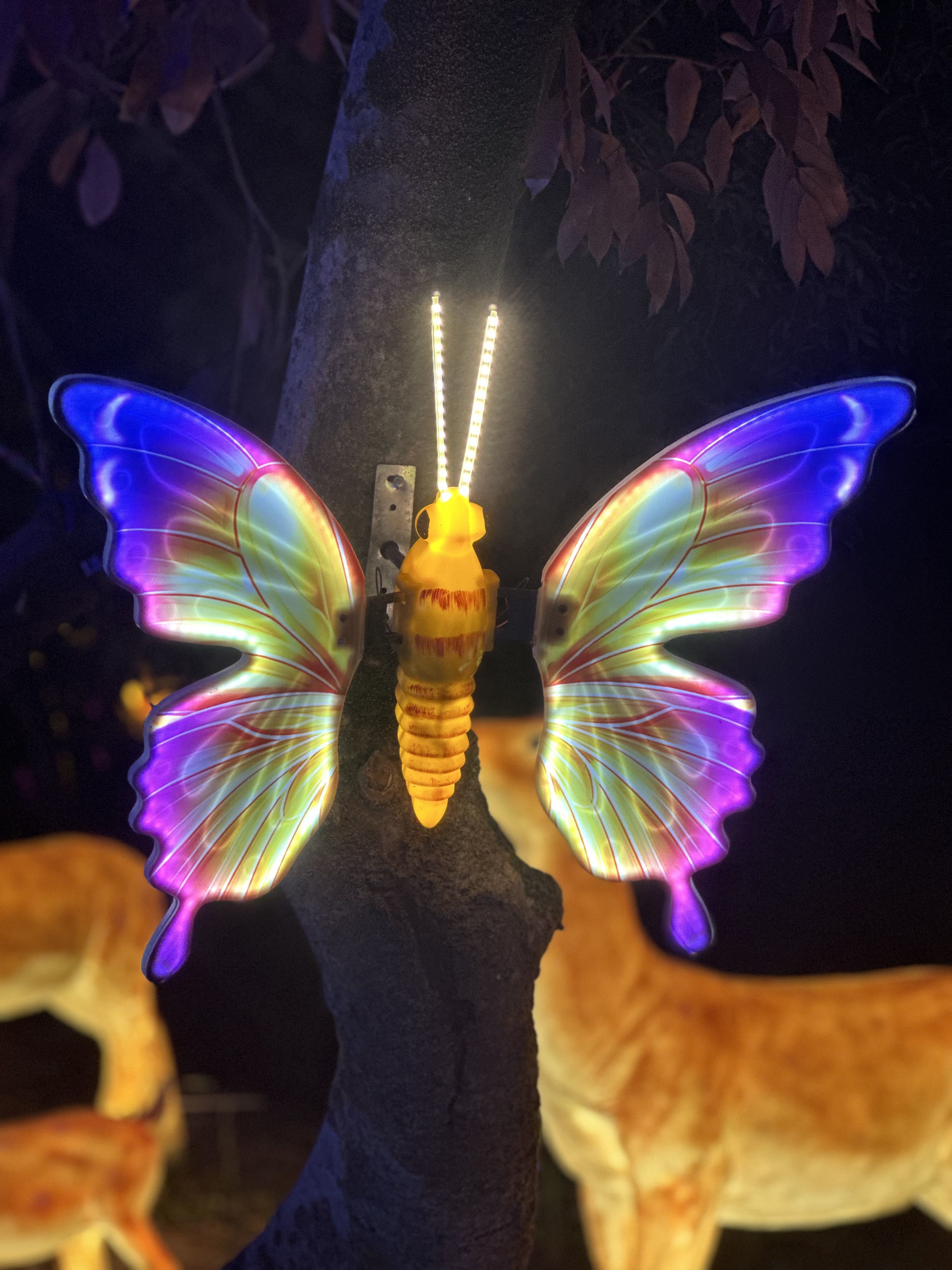 初见💕梦好运连连主播图片