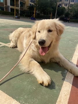 小可柔休一晚💜的图片