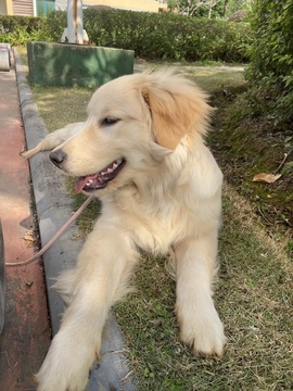 小可柔休一晚💜的图片