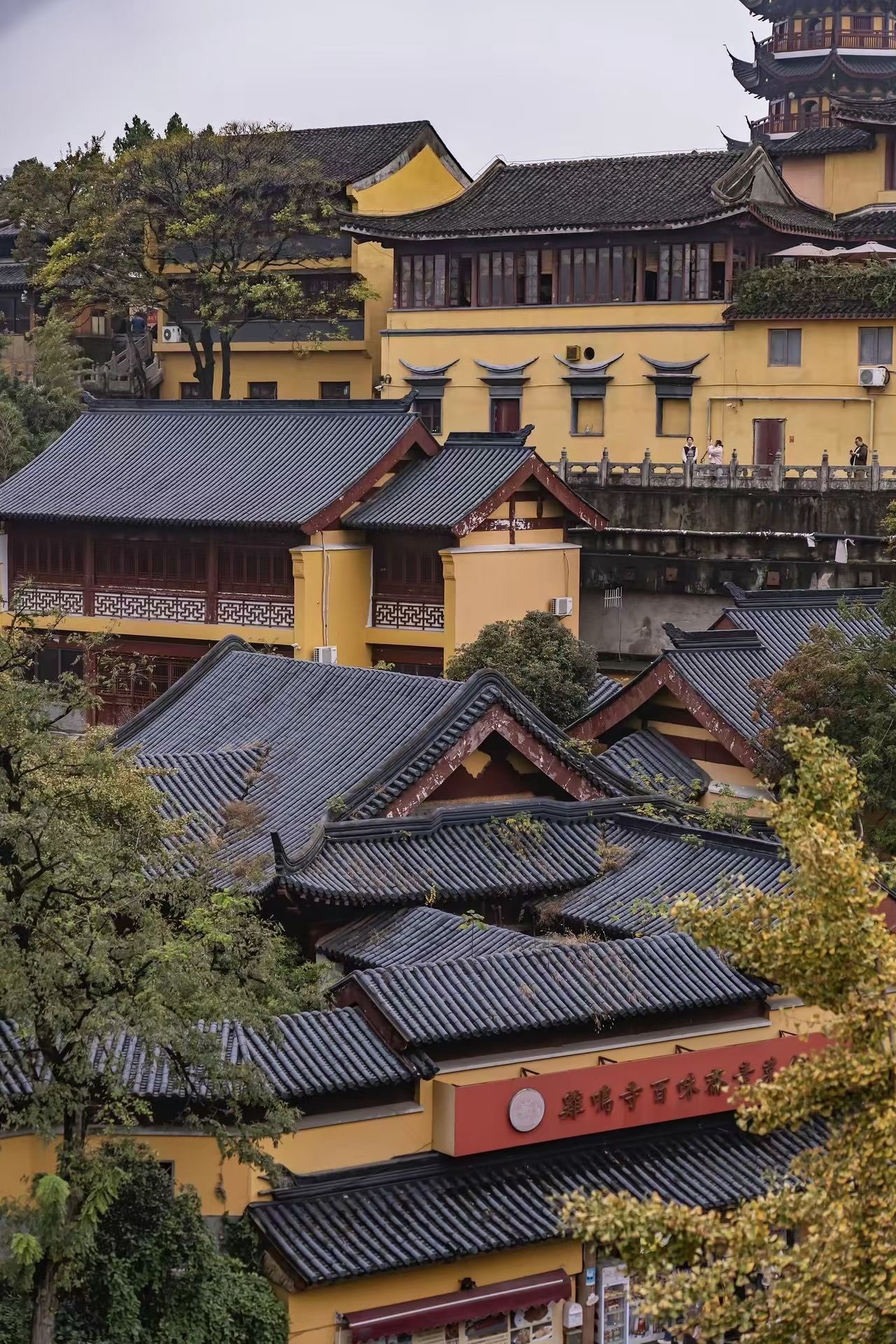 七克灵魂主播图片