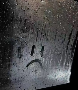 陈冰🍃绷不住了～的图片