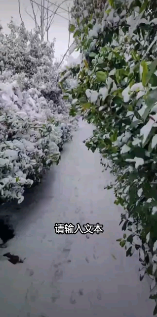 东北。