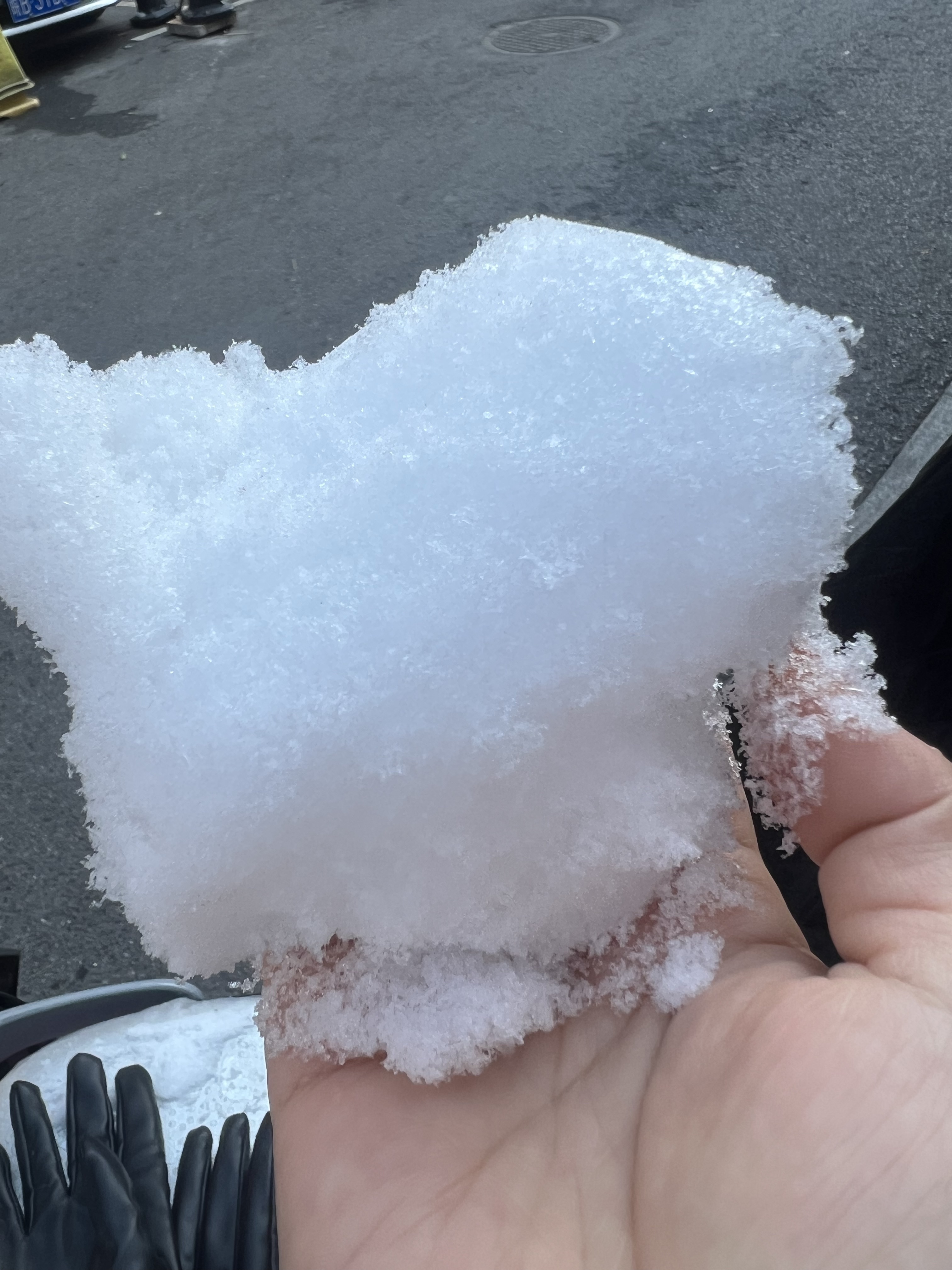 顾念念❤️主播图片