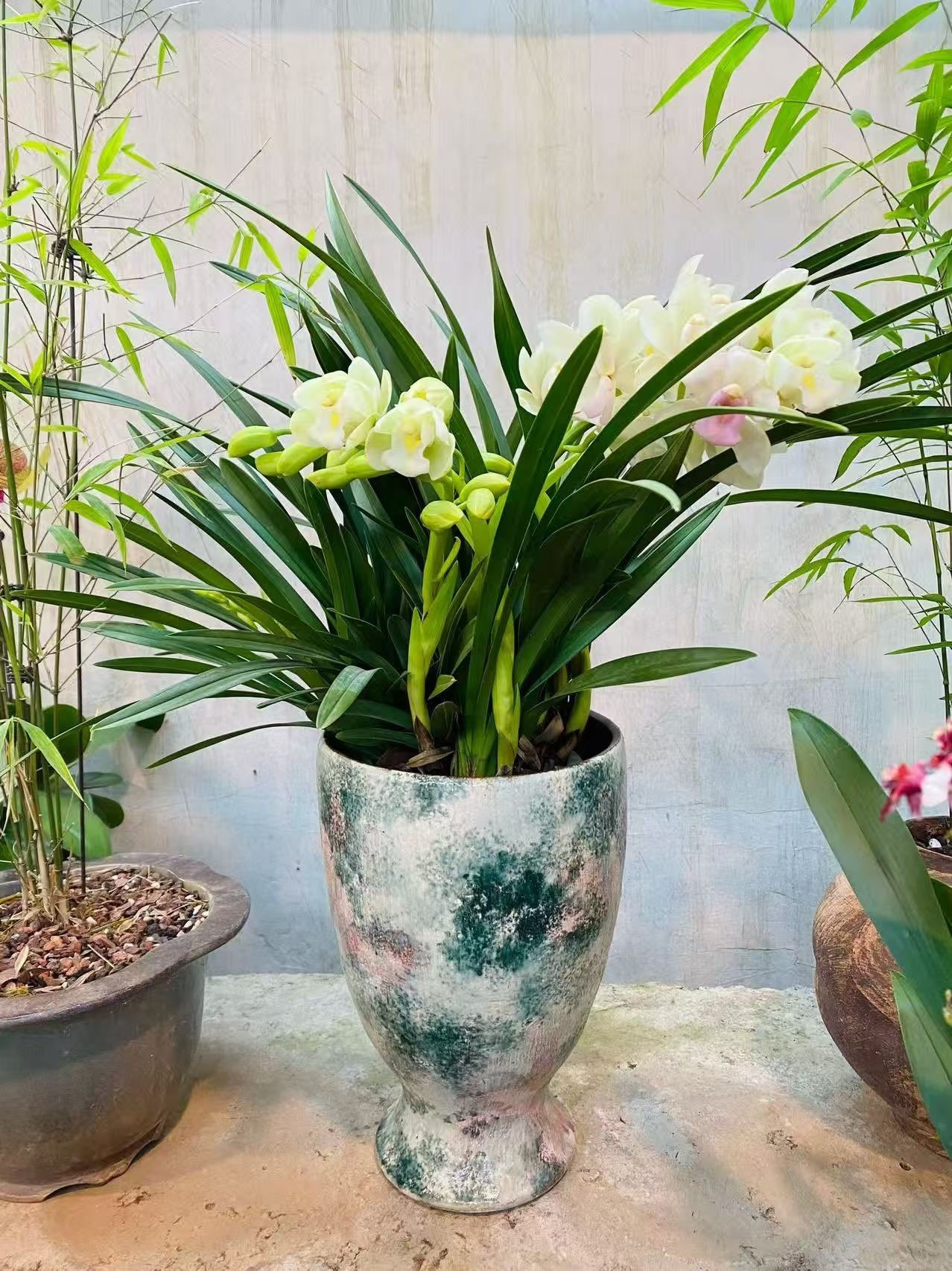 安妮等你来点歌主播图片