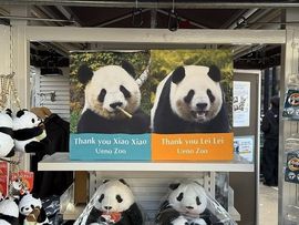 为你穿越1000英里的图片