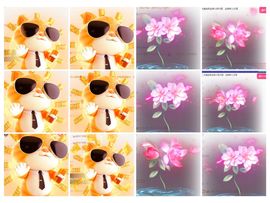 冉冉🍀好运来！的图片