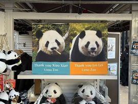 为你穿越1000英里的图片