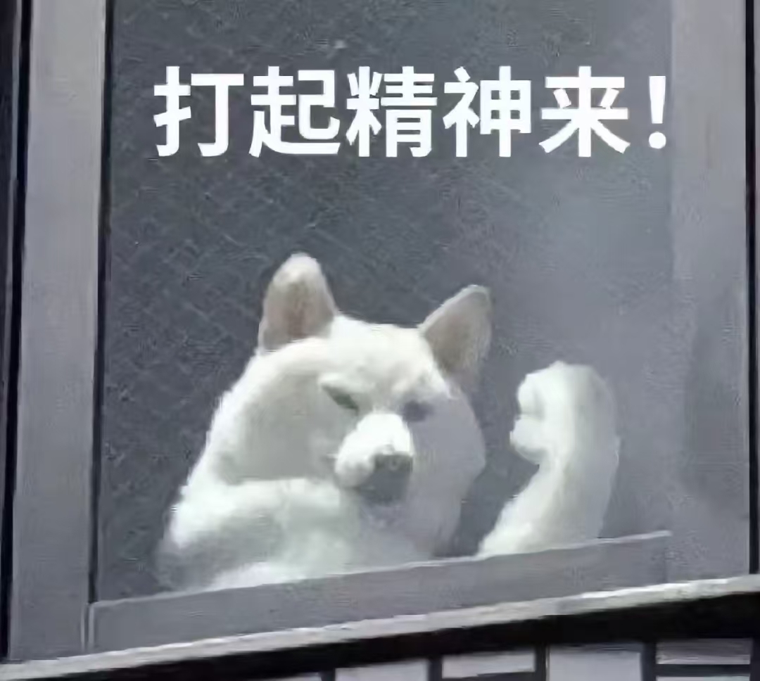 狗蚊子～主播图片