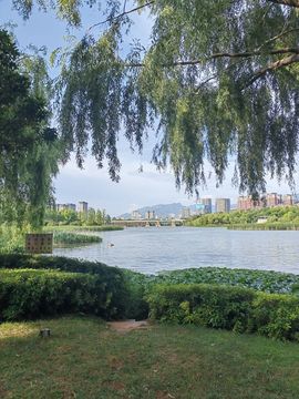 茜宝🎤马上有大哥的图片