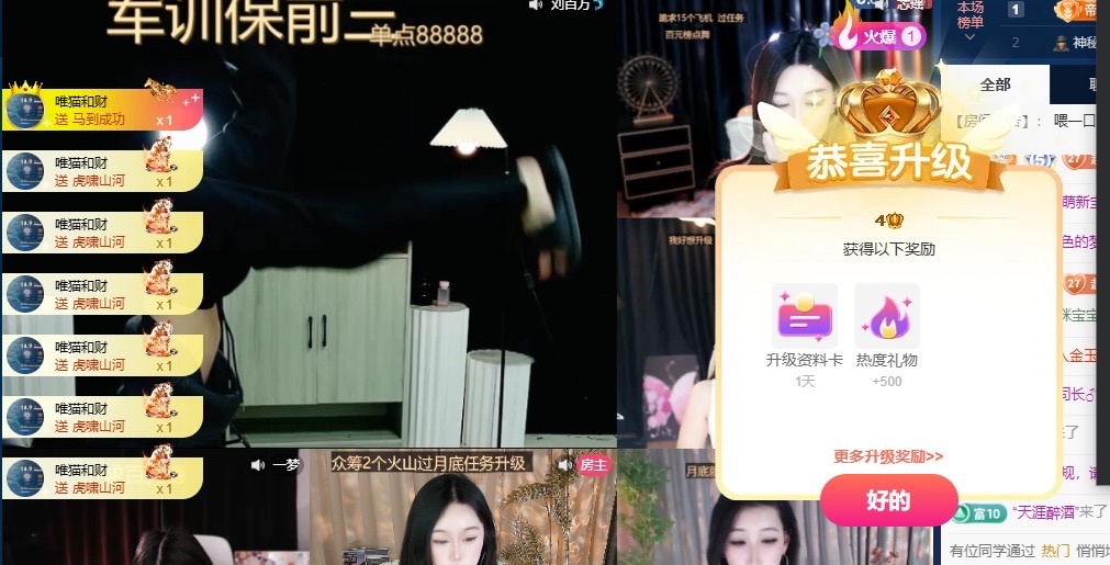 叮叮猫🐾求投喂主播图片