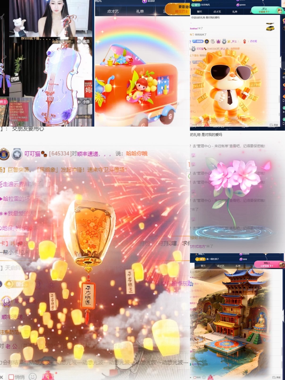 叮叮猫🐾求投喂主播图片