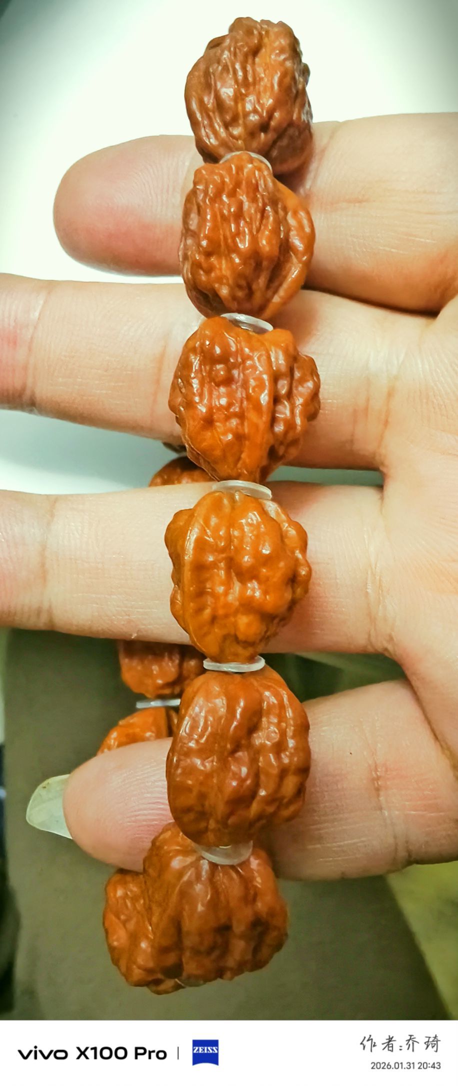 拒绝迦多宝{乔}主播图片