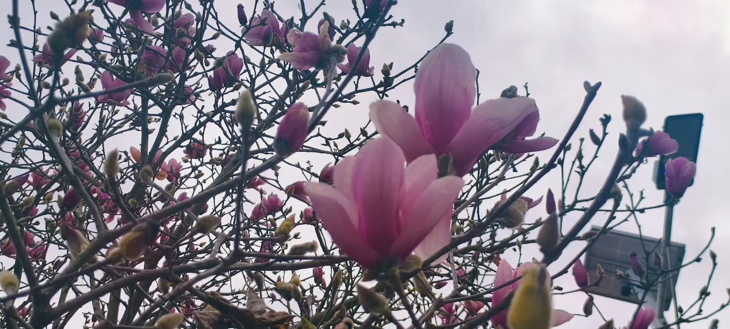 妞妞骑行梅州主播图片