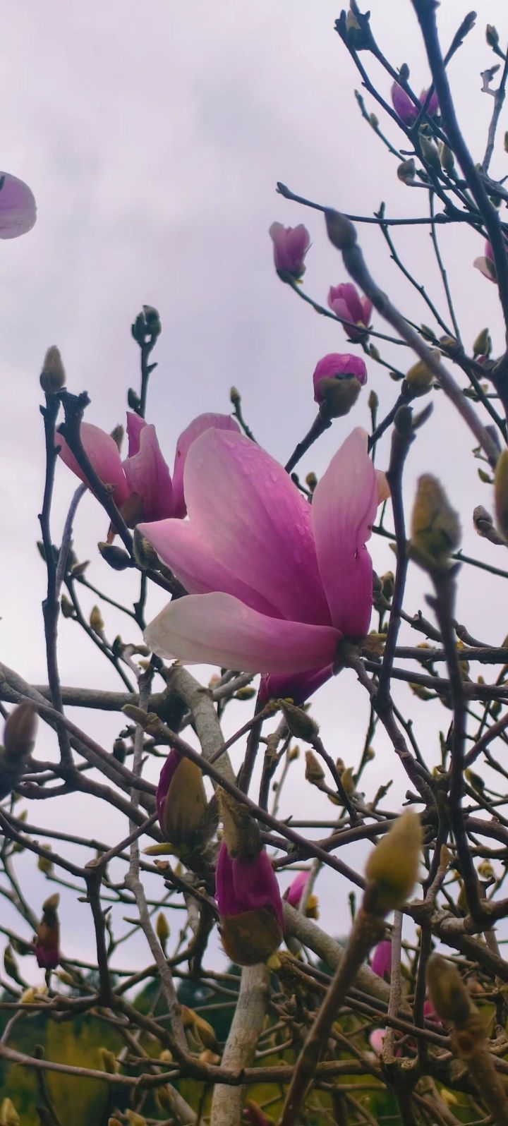 妞妞骑行梅州主播图片