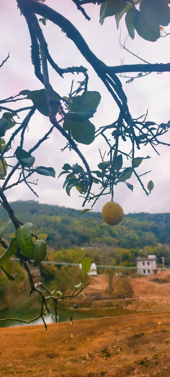 妞妞骑行梅州主播图片