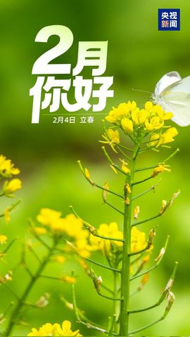 为你穿越1000英里的图片