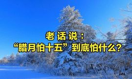 为你穿越1000英里的图片