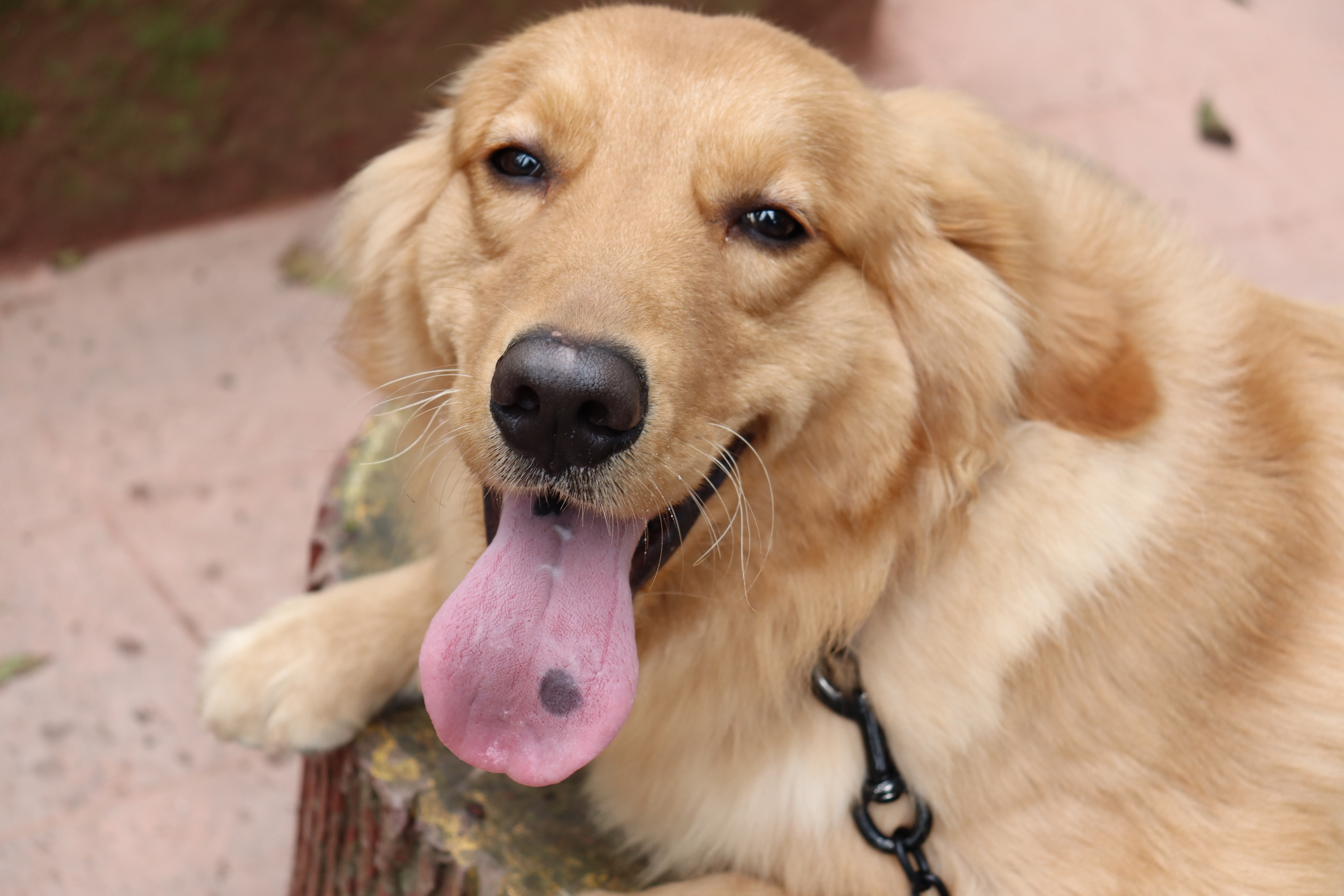 涵十八♫主播图片