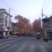 来自贝鲁特的巴623