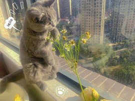 方仪❤八方来财的图片