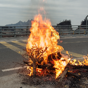 你懂個🔨我舉個🌰