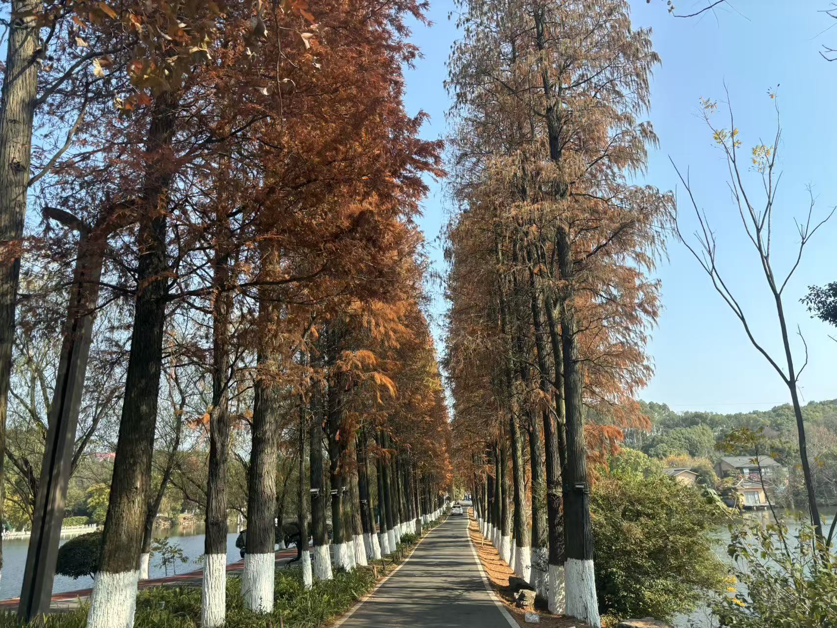 宝儿祝家人们新年快乐的主播照片