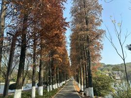 宝儿祝家人们新年快乐的图片