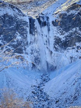 天王盖地虎虎044的图片