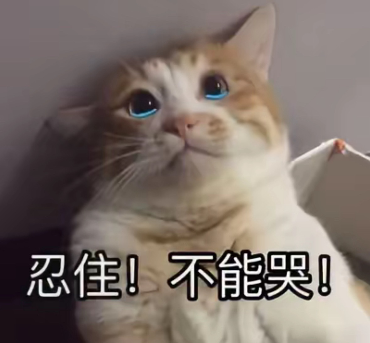 奕珂祝大家新年快乐的主播照片