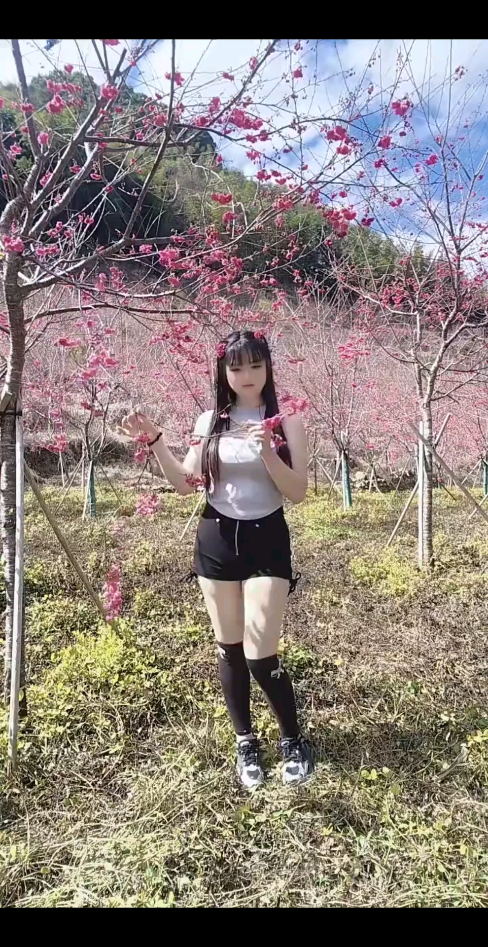 花痴(✯ᴗ✯)妞🌺