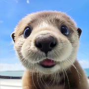 妞你很哇噻😜😜