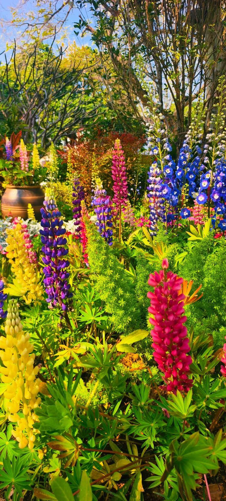 妞妞骑行西双版纳主播图片