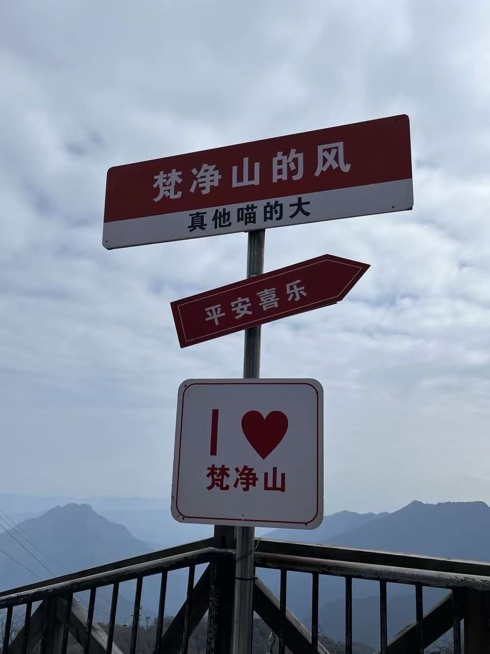 傻白喵不甜😂的主播照片