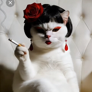 磊か磊🙇曾经拥有