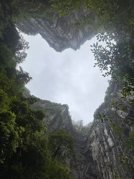 宝儿祝家人们新年快乐的图片