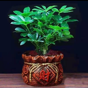 吉祥ℒᎭℯ⃝💰如意的头像