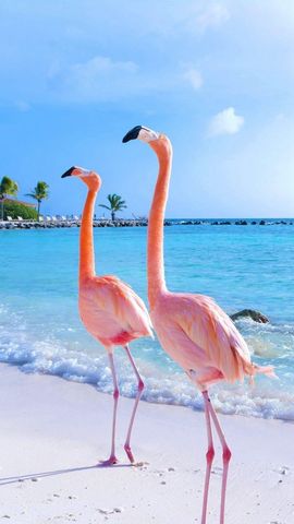 谦让欣欣向荣的图片