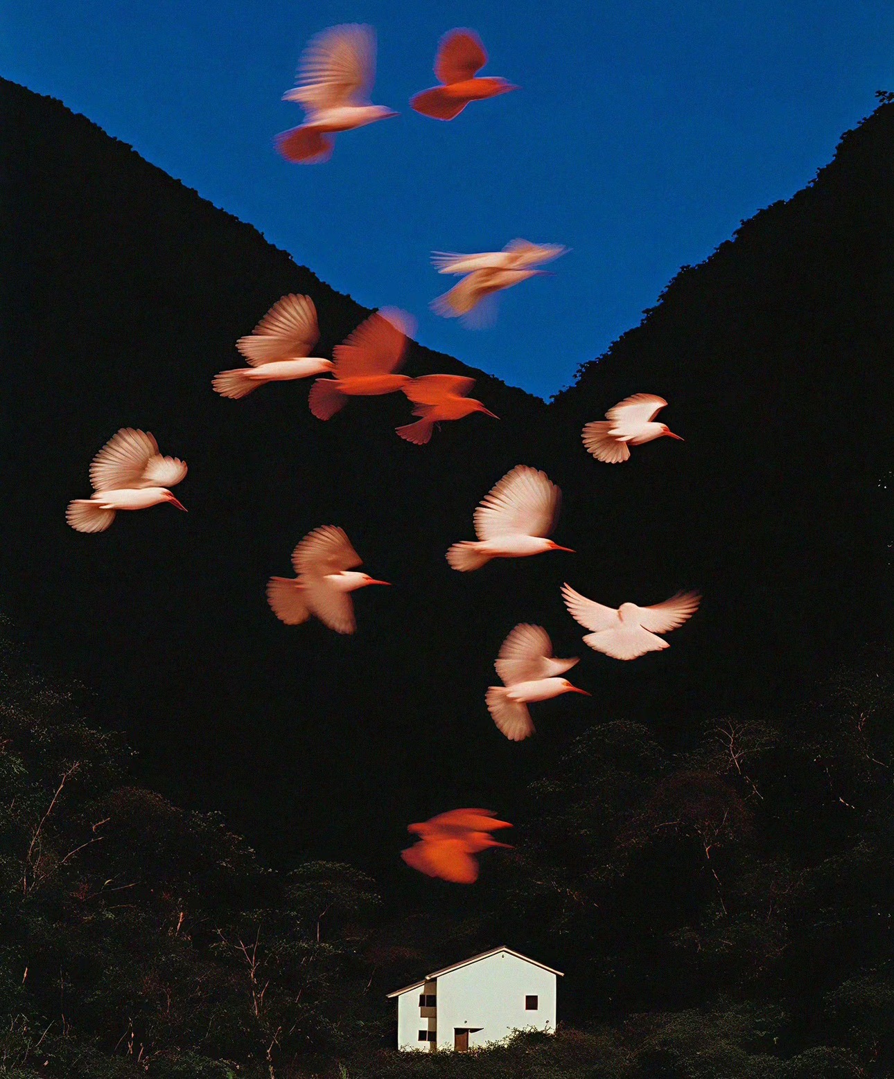 娜扎🧸的主播照片