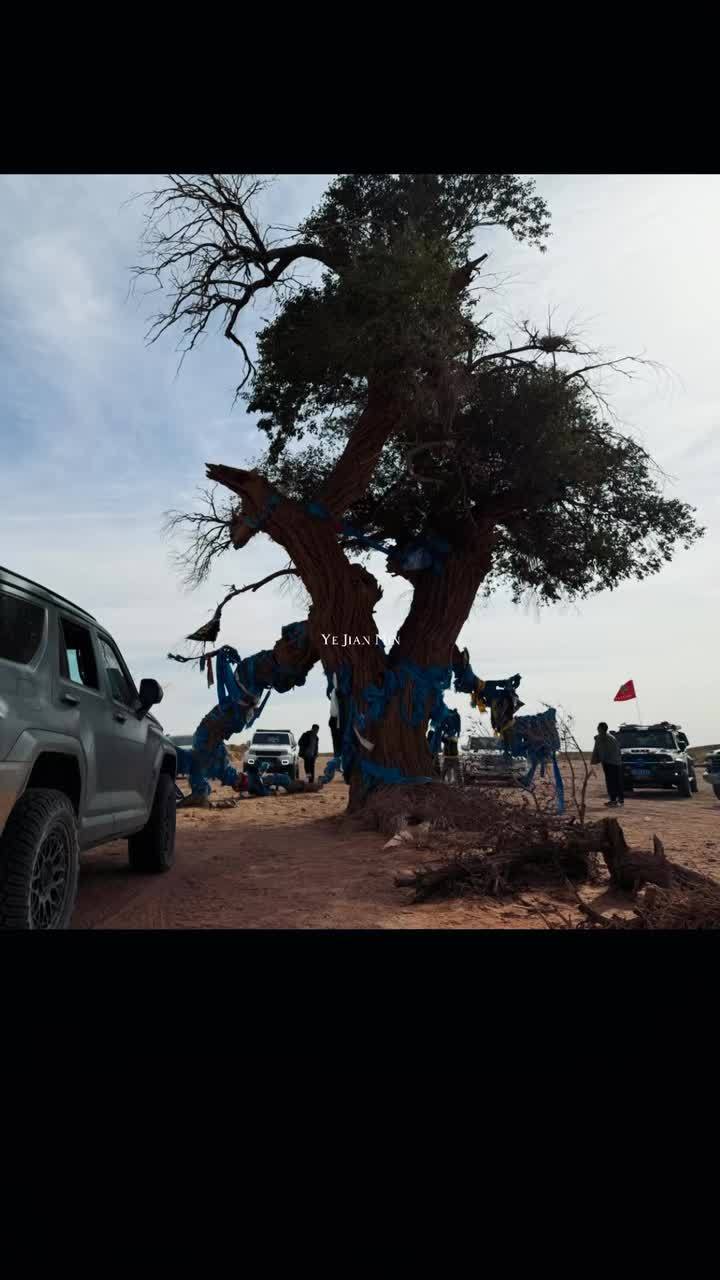 我的生活我做主