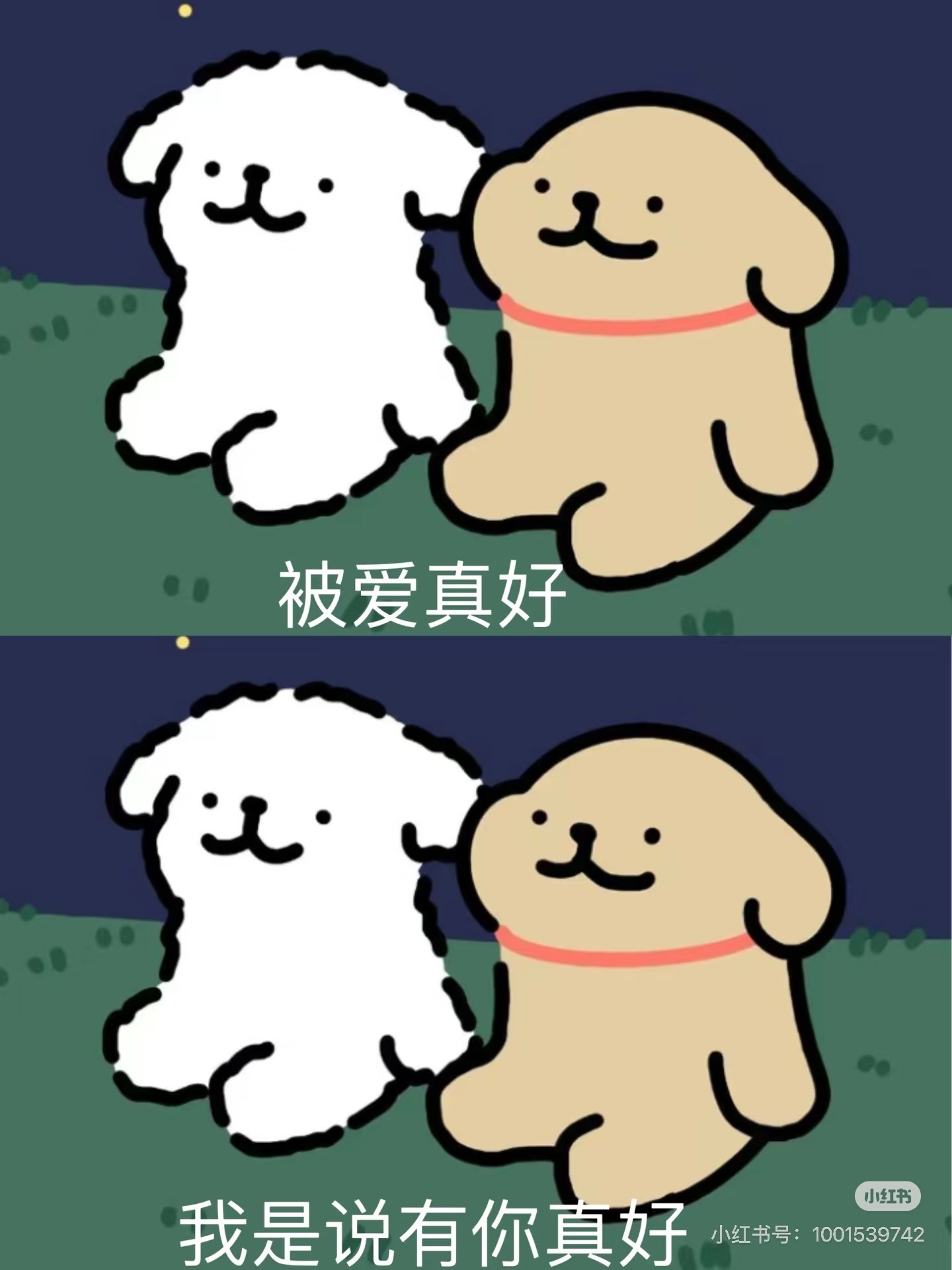 言言祝老板升级快乐的主播照片