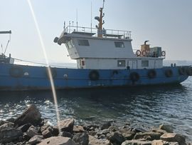 爱如初见-村里人的图片