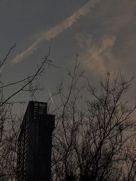 晴儿祝大家新年快乐！的图片