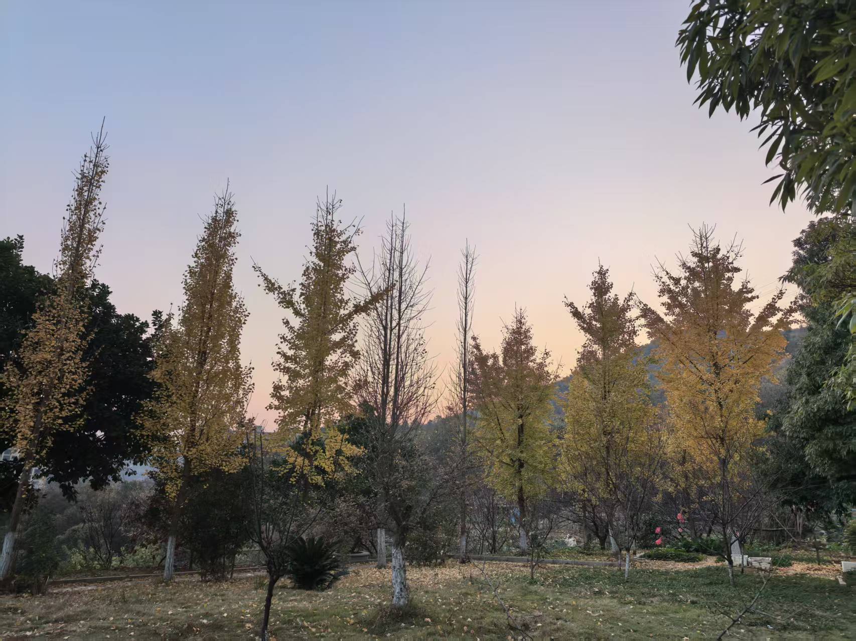 阿泽祝您新年快乐💞主播图片