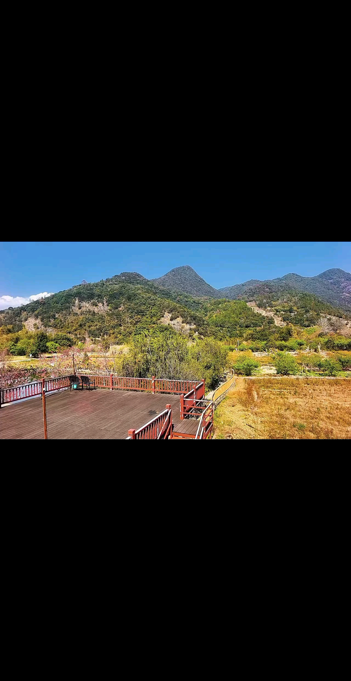 频繁记录，频繁热爱❤