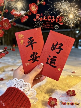 新人纯儿~求百元榜的图片