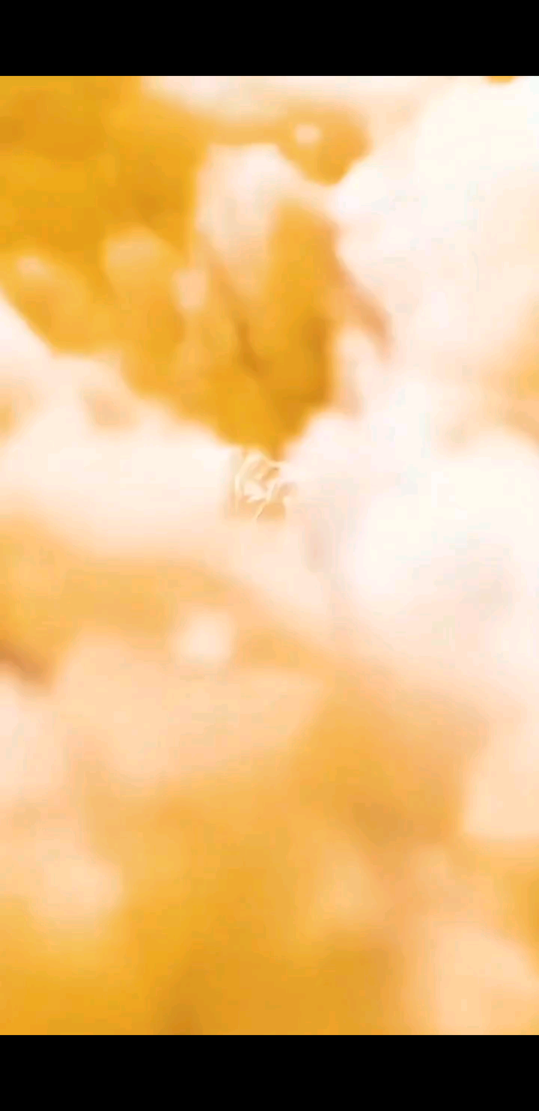 佛佑安康，愿所求皆所愿皆所得